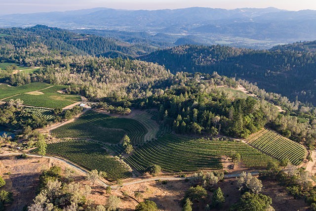 Aerial view of lush green vineyards and rolling hills in a scenic landscape.