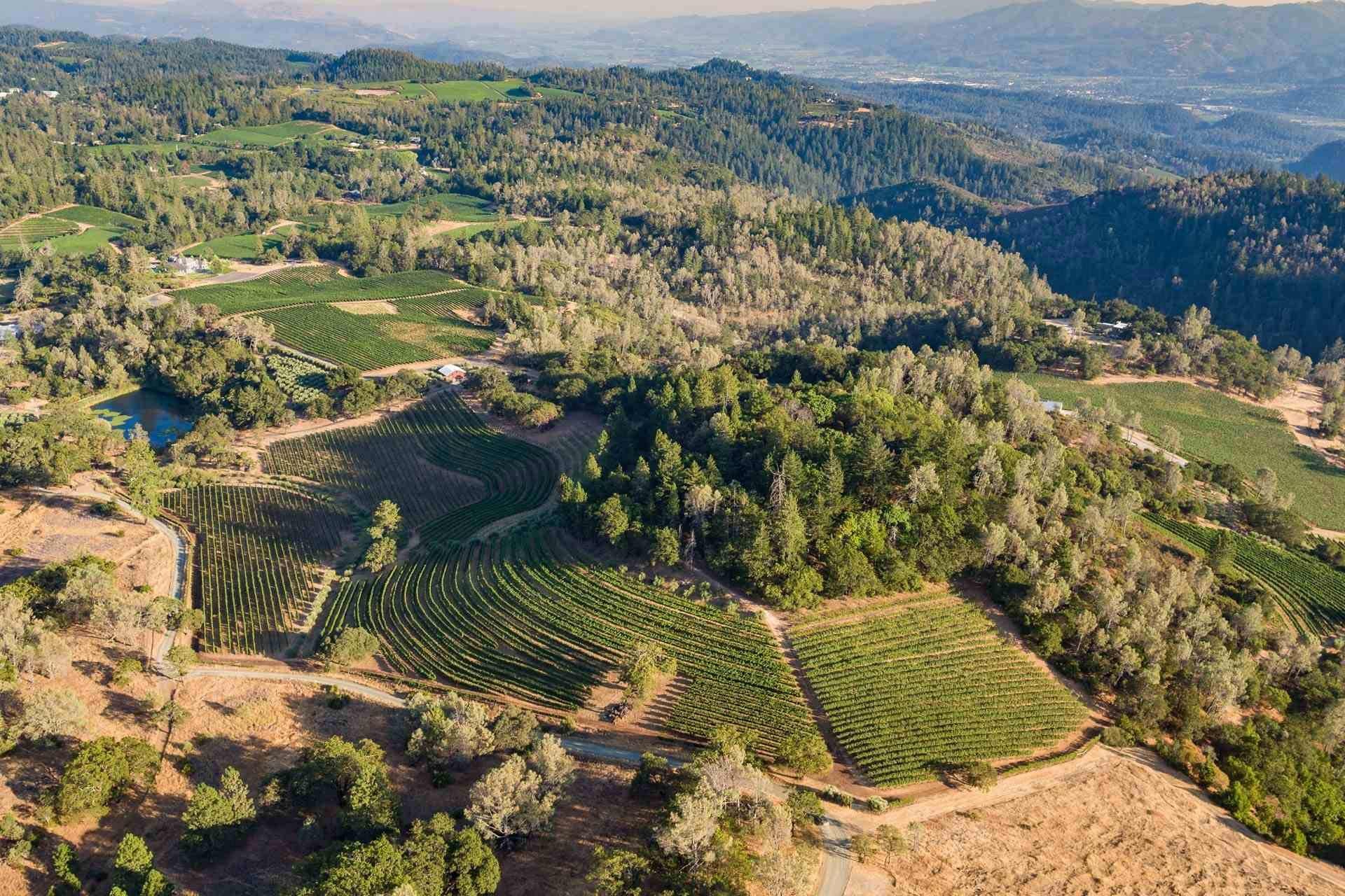 Aerial view of lush vineyards and rolling hills in a scenic California vineyard landscape.